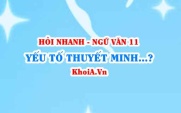 Yếu tố thuyết minh, miêu tả, tự sự và nhan đề trong văn bản nghị luận? Ngữ Văn lớp 11